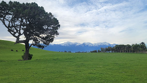 Kaikoura Peninsula