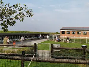 Cascina Sant'Anna