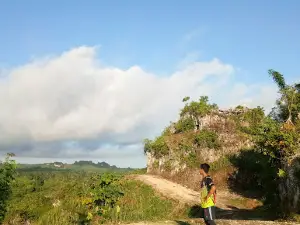 Puncak Wakila