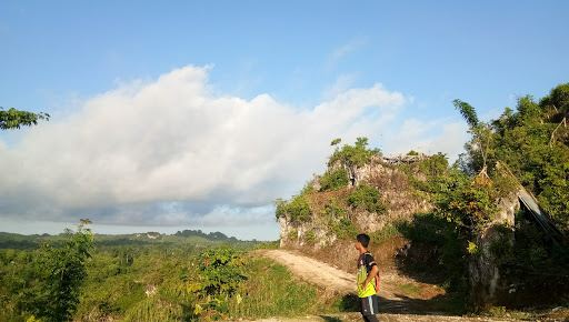 Puncak Wakila
