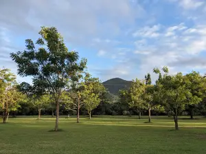 Neem Hall