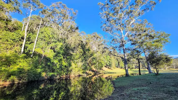 Palm Grove Ourimbah Creek Landcare
