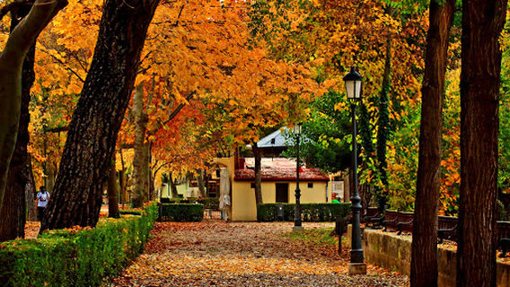 Parque de la Alameda