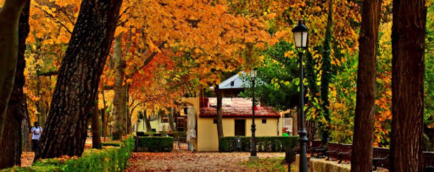 Parque de la Alameda