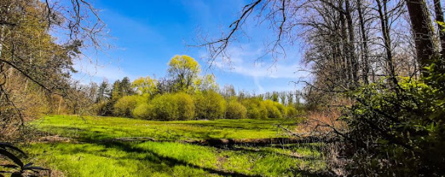 Natuurgebied Lovenhoek