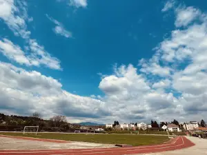 The Municipal Stadium of Câmpulung