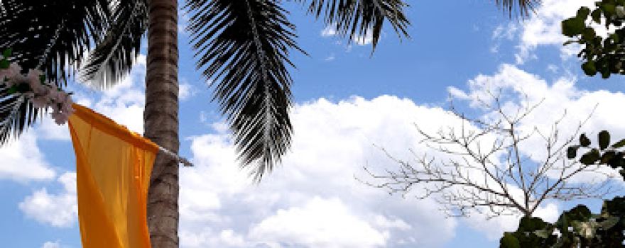 Gaspar Hernandez Playa