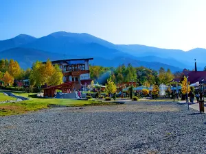 Brambura Park & Upside down House