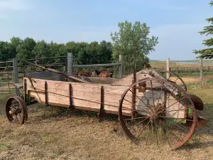 Prairie Sky Guest & Game Ranch