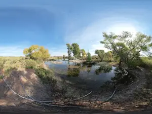 Conoco Pond