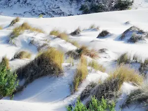 Dune di Porto Pino
