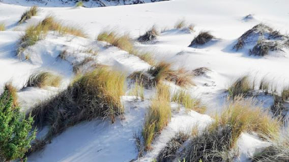 Dune di Porto Pino