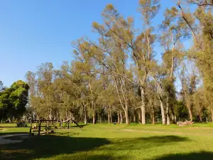 Vivero Municipal
