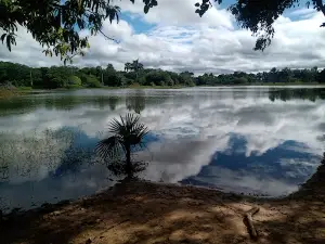 Parque Natural Municipal das Timbaúbas