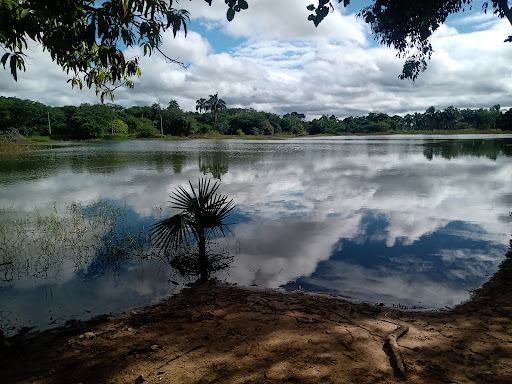 Parque Natural Municipal das Timbaúbas