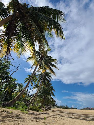 Caracoles Beach