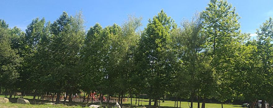 Parque de Merendas da Cidade de Lourosa