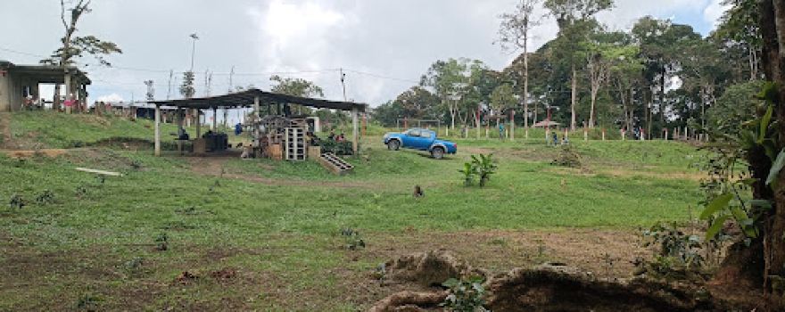 Campamento Brasil