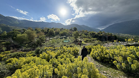 Nivicë Canyon