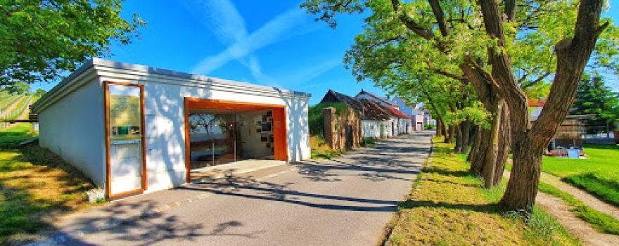 Der Weg zum Wein (Weinkeller)