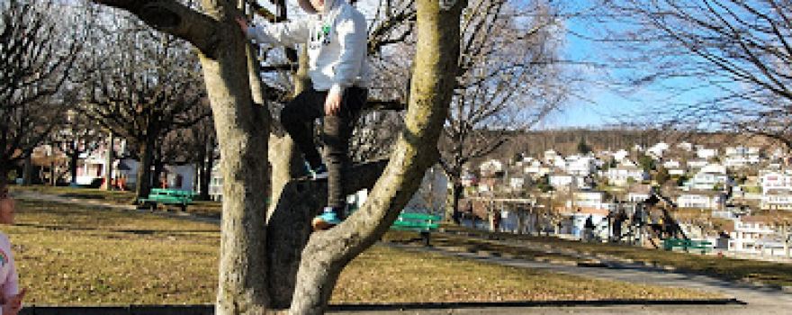 Jardin Public
