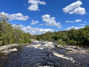 Penobscot River Trails