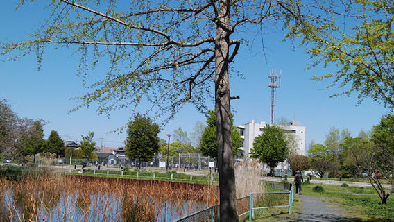 Miyanoike Park