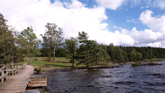 Högsbyns hällristningsområde