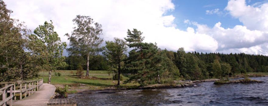 Högsbyns hällristningsområde