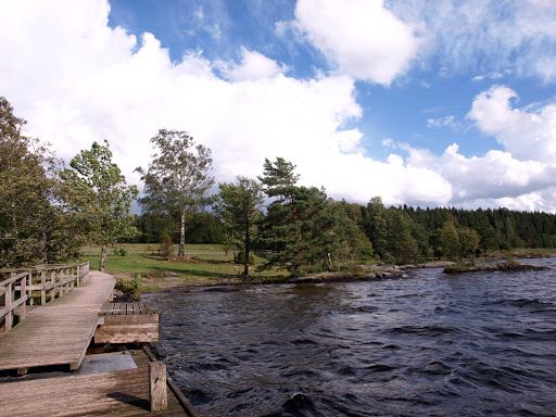 Högsbyns hällristningsområde
