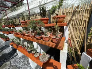 Doña Falla Park