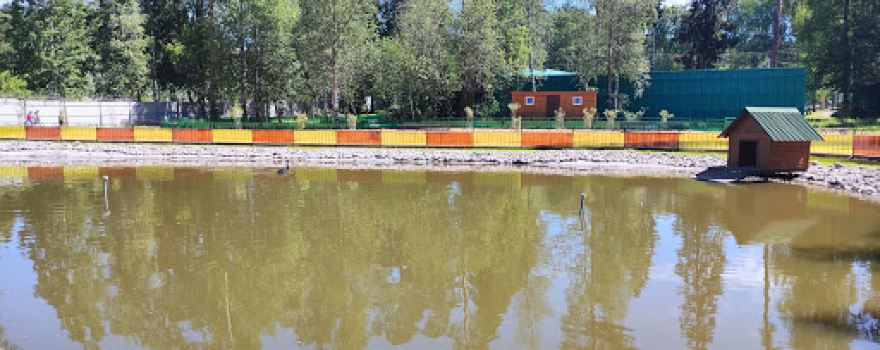 Zoo Park in Kostroma