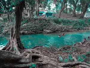 GROWGOLAND "Grogolan" Waterfun