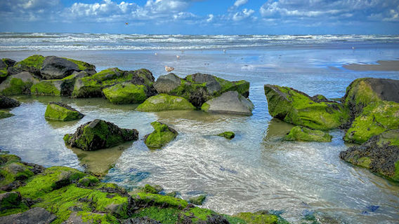 Noorderpier, Hoek van Holland