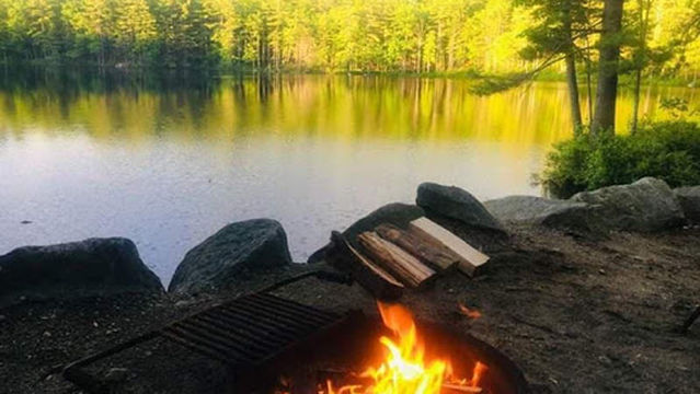 Acres of Wildlife Campground