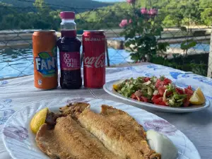 Balkaya Alabalık Çiftliği