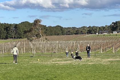 FarmDog Brewing at McGlashan Estate