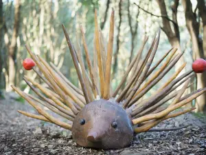 Un bosco da fiaba