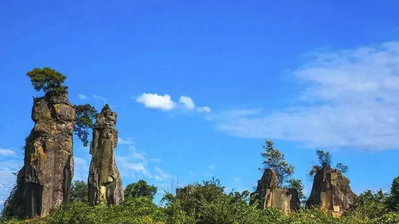 Singing Stone Forest Tourist Attraction