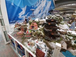 Newbridge Nurseries Garden Centre