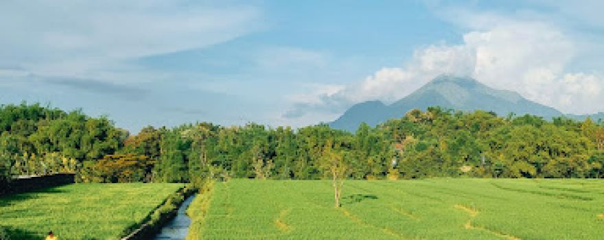 Plorotan MBI/Mburi Bir Indonesia