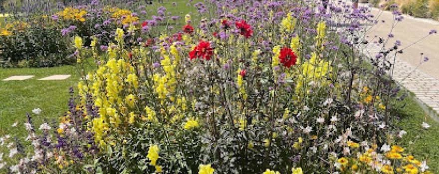 Gartenschau Eppingen 2022