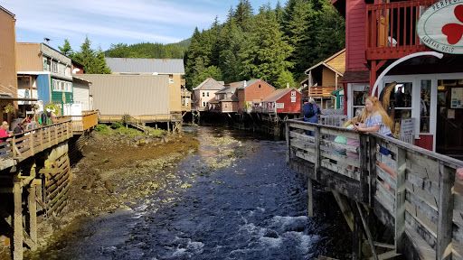 Salmon Ladder Vista