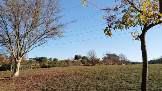 Парк Уордло