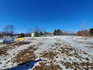 Belfast Dog Park