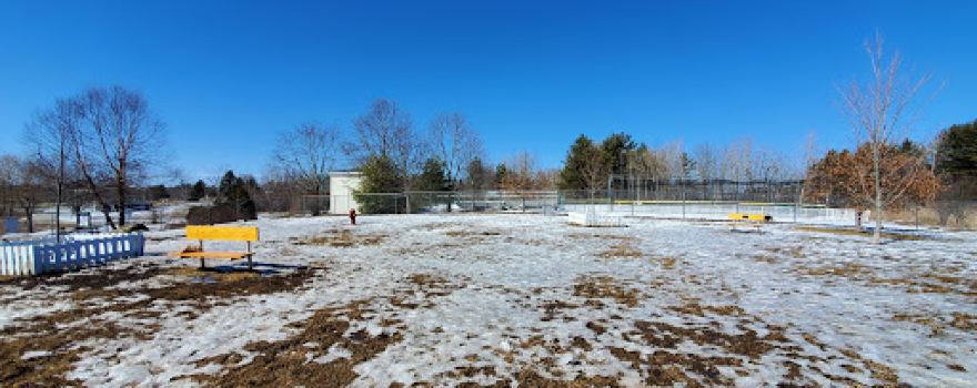Belfast Dog Park