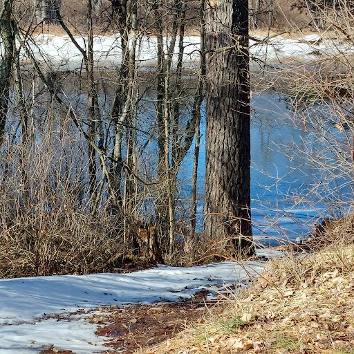 Wisconsin River Forest Unit