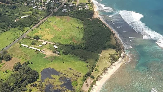 Loulu Palm Farm Estate