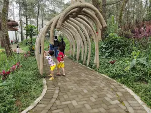 Mojosemi Forest Park