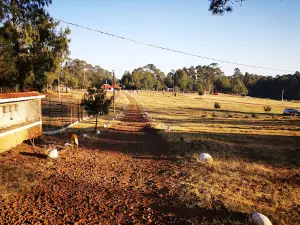 Llano Del Conejo